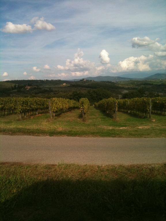 Winery Houses In Chianti Mercatale Val Di Pesa Zimmer foto